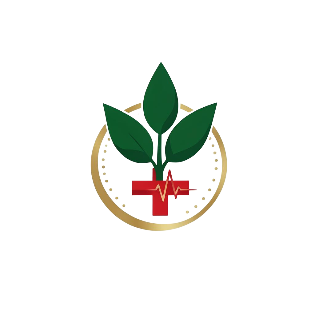 Wellspring Health Hub logo